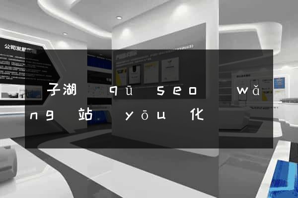 龍子湖區(qū)seo網(wǎng)站優(yōu)化