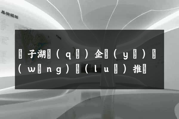 龍子湖區(qū)企業(yè)網(wǎng)絡(luò)推廣