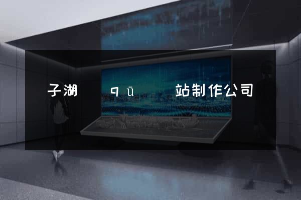 龍子湖區(qū)網站制作公司