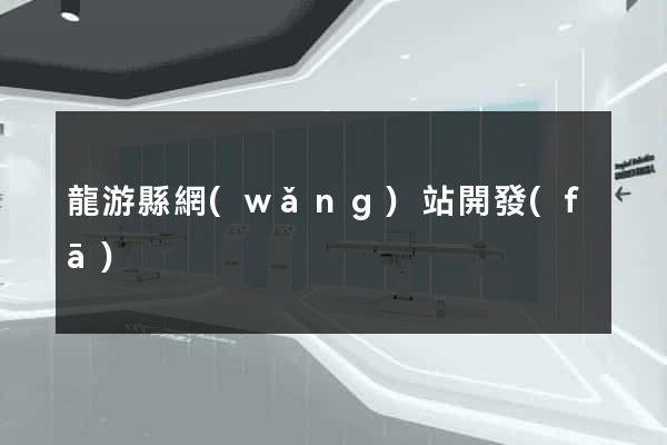 龍游縣網(wǎng)站開發(fā)