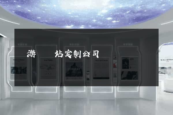 龍游縣網站定制公司