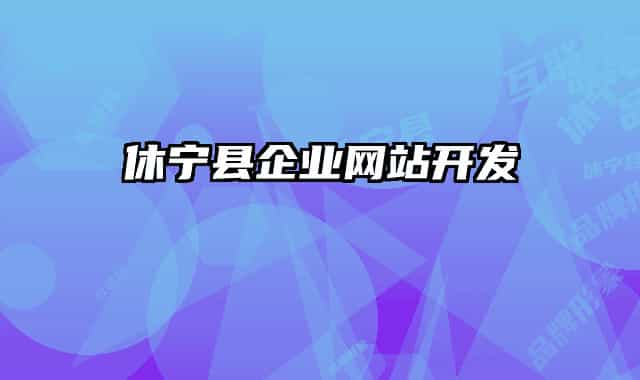 休寧縣企業(yè)網站開發(fā)