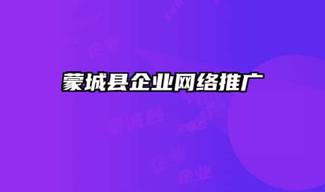 蒙城縣企業(yè)網絡推廣