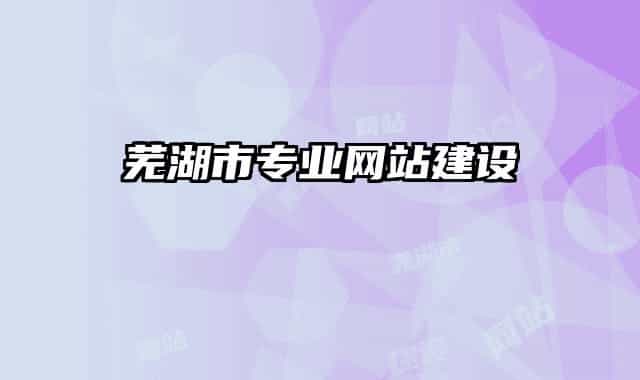 蕪湖市專業(yè)網(wǎng)站建設(shè)