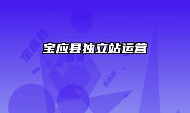 寶應(yīng)縣獨(dú)立站運(yùn)營