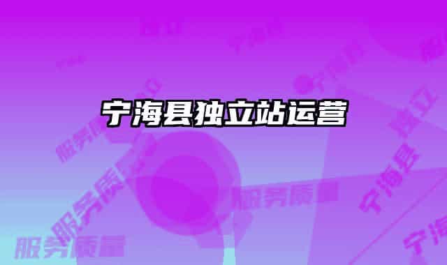 寧?？h獨(dú)立站運(yùn)營