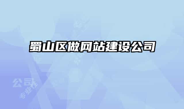 蜀山區(qū)做網站建設公司
