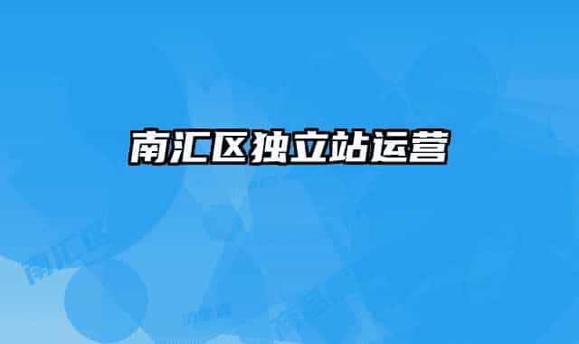 南匯區(qū)獨立站運營