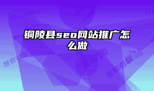 銅陵縣seo網(wǎng)站推廣怎么做