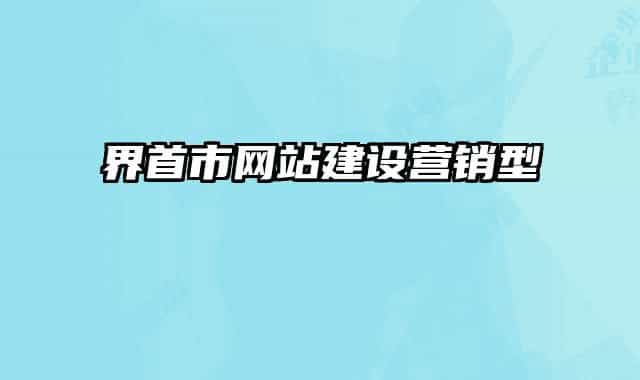 界首市網(wǎng)站建設(shè)營銷型
