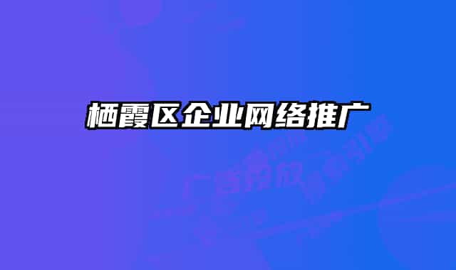 棲霞區(qū)企業(yè)網絡推廣