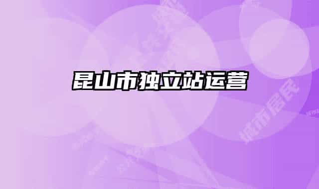 昆山市獨立站運營