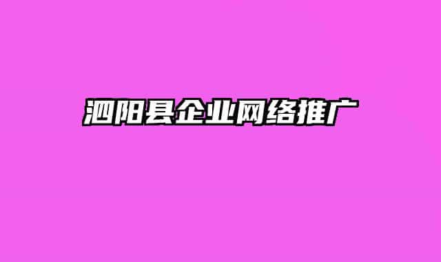 泗陽縣企業(yè)網絡推廣