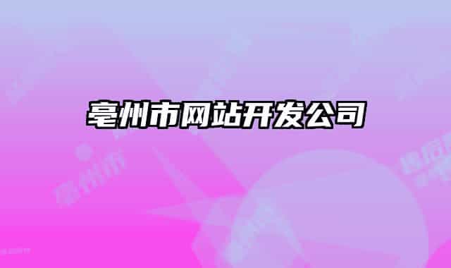 亳州市網(wǎng)站開發(fā)公司