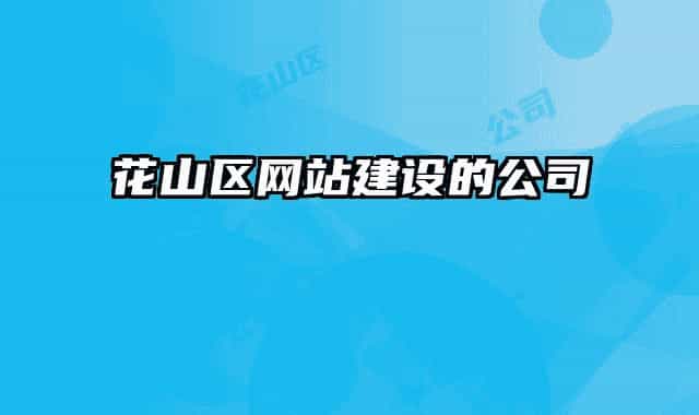 花山區(qū)網(wǎng)站建設(shè)的公司